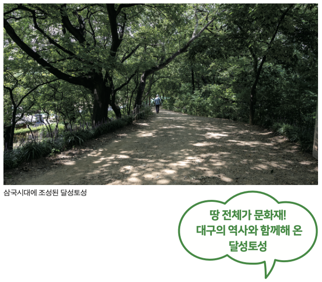 땅 전체가 문화재! 대구의 역사와 함께해 온 달성토성