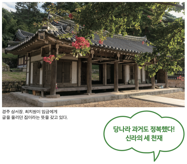 당나라 과거도 정복했다! 신라의 세 천재