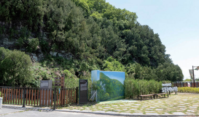 천연기념물 1호로 지정된 도동 측백수림