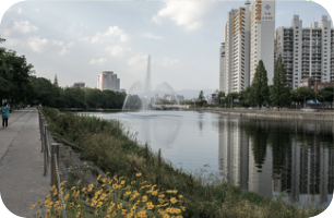 [교실 밖 대구역사체험] 신천 이야기 둘, 신천둔치는 꽃과 나무의 천국