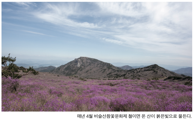 자연을 주제로 하는 축제 & 저마다 개성과 즐거움이 있는 축제