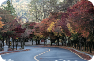 [교실 밖 대구역사체험] 팔공산 올레길