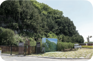 [교실 밖 대구 역사체험] 평광 왕건사과마을