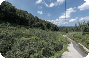 [교실 밖 대구역사체험] 팔공산 올레길 중 평광동 왕건길