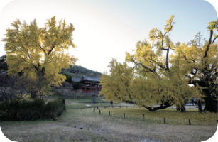 [교실 밖 대구 역사체험] 도동서원