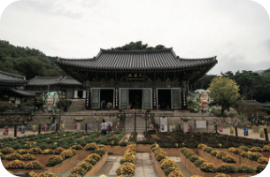 [교실 밖 대구역사체험] 동화사